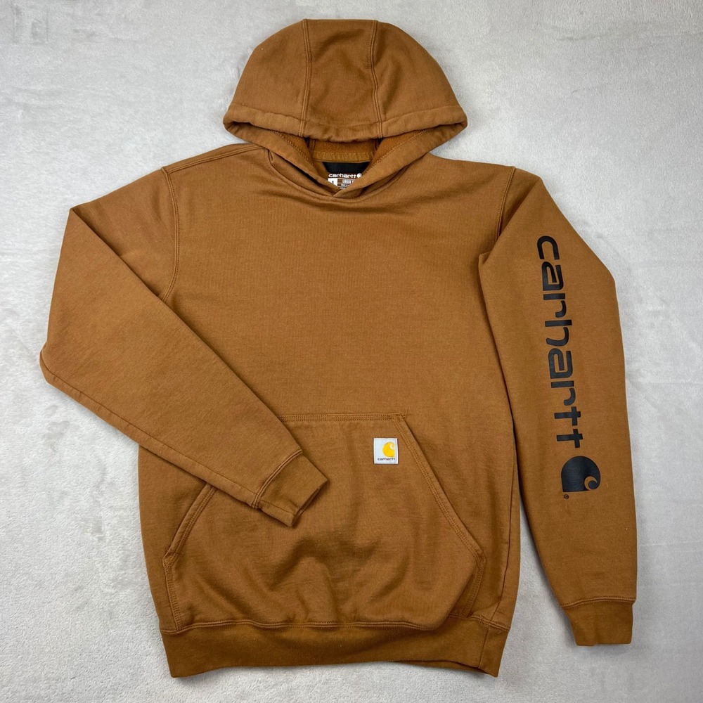Carhartt Mens Loose Fit Midweight Sleeve Graphic Hoodie Brown K288 BRN Small